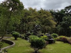 -滴水岩森林公园