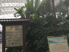 -郑州银基黄帝宫御温泉