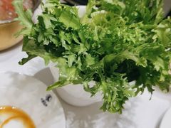 -红鼎豆捞·非遗鲍皇汤火锅(宝丰路店)