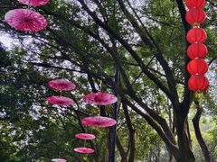 -广州市白云山风景名胜区