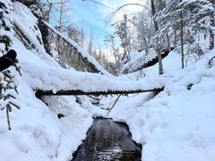 -峡谷浮石林景区