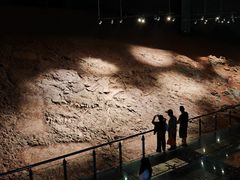 -世界恐龙谷景区