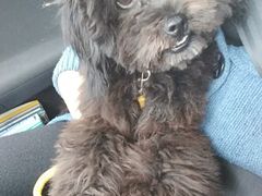 -佳百利宠物(荣乐中路115弄小区店)