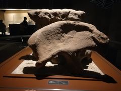 -世界恐龙谷景区