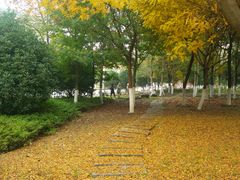 -江南大学(蠡湖校区)