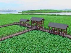 -天津东丽湖风景区