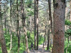 -帽儿山国家森林公园