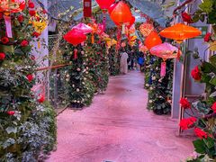 -正佳雨林生态植物园