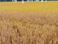 -上海老范农家乐(崇明前卫村店)