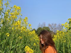 -杏花村文化旅游区