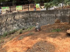 -云南野生动物园