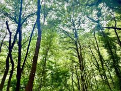 -老爷山风景区