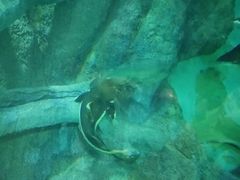 -福州罗源湾海洋世界旅游区