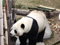 -青藏高原野生动物园