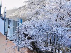 -梵净山旅游区