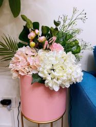 -简悦美塑·徒手点穴减肥