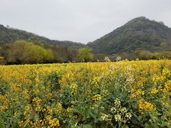 -八卦田遗址公园