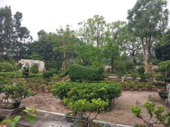 -广东圆玄道观
