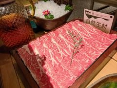 -季季山·云南野生菌火锅(上海首店)