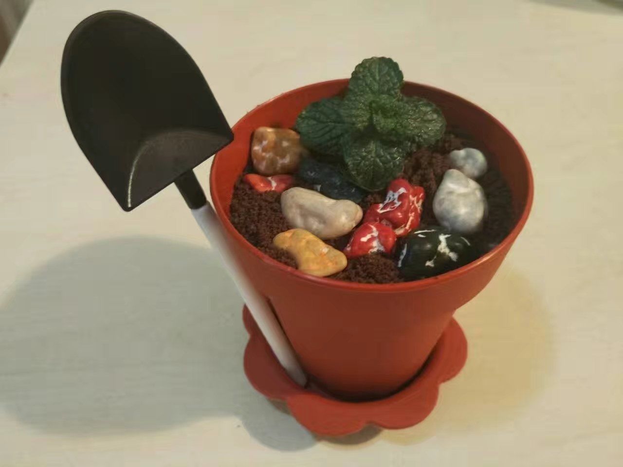 可以吃的小盆栽,治愈力拉满