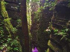 -梭布垭石林景区