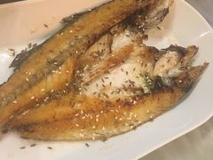 -队长面馆 La Pasteria del Capitano