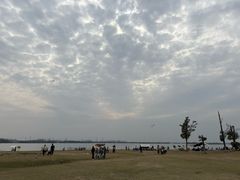 -漕湖湿地公园
