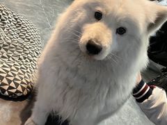 -摩道团机车工坊 摩托车维修 精洗店