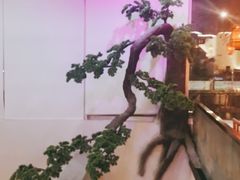 -荷塘秋月·本帮江浙菜(国权路店)