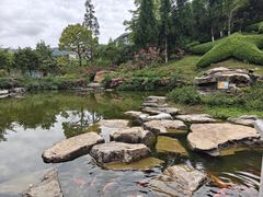 -全国青少年井冈山革命传统教育基地