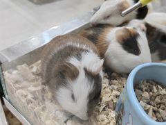 -三旗百汇商品城