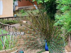-昆明动物园