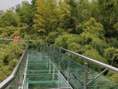 -陶祖圣境风景区