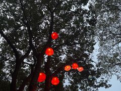 -鲁镇