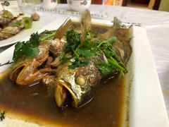 -宾朋海鲜特色美食餐厅·纯手工鲅鱼水饺(兴海路店)