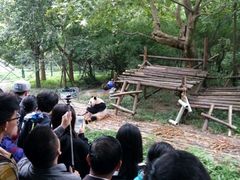-成都大熊猫繁育研究基地