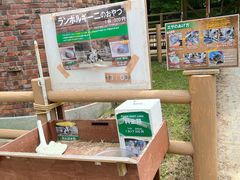 -神户市立六甲山牧场