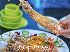 -亚龙湾热带天堂森林公园