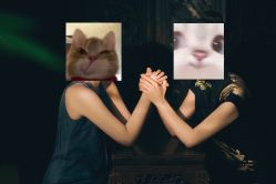 -懒猫摄影studio写真馆