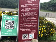 -都江堰中华大熊猫苑
