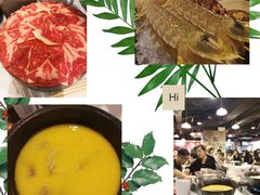 -鲜入围煮花胶鸡海鲜火锅