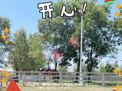 -北京群众马术培训基地