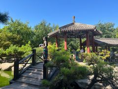 -中国唐苑