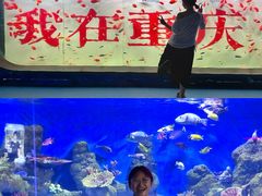 -重庆欢乐海底世界