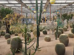 -南宫五洲植物乐园