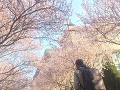 -山东师范大学(千佛山校区)