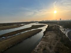 -春花秋色城市公园