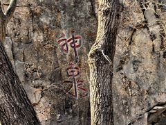 -北京凤凰岭
