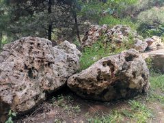 -长白岛森林公园