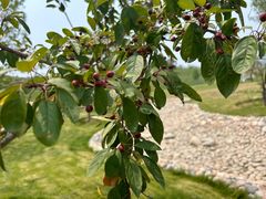 -潭柘厚院&山顶烤肉(潭柘寺店)